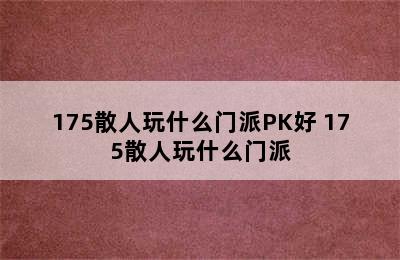 175散人玩什么门派PK好 175散人玩什么门派